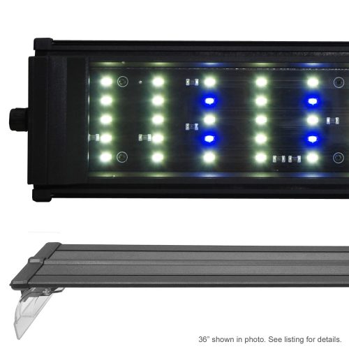 Beamswork DA 6500K point50W Series LED Pent Aquarium Light Freshwater Plant Discus