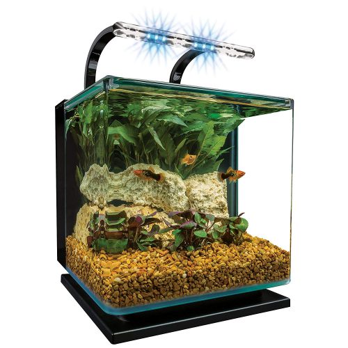 Marineland Contour Glass Nano Aquarium Kit with Rail Light