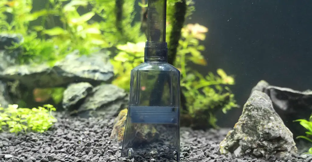 Siphon gravel cleaner tool in the aquarium
