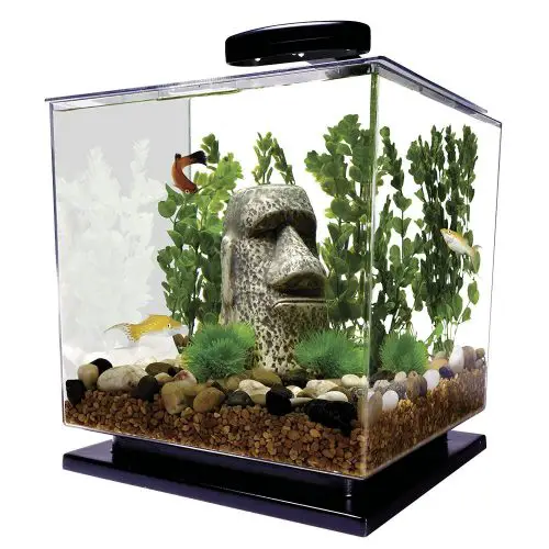 Tetra LED Cube Shaped 3 Gallon Nano Aquarium