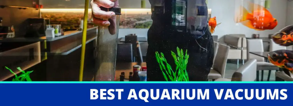 best aquarium vacuum header