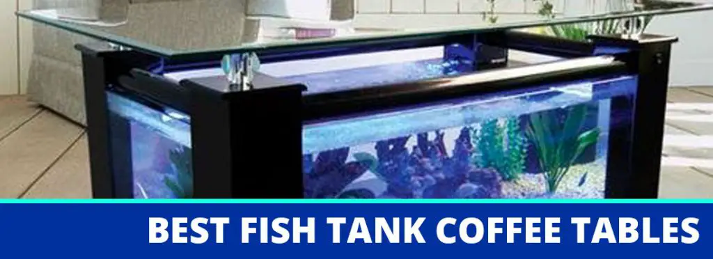 best fish tank coffee table header