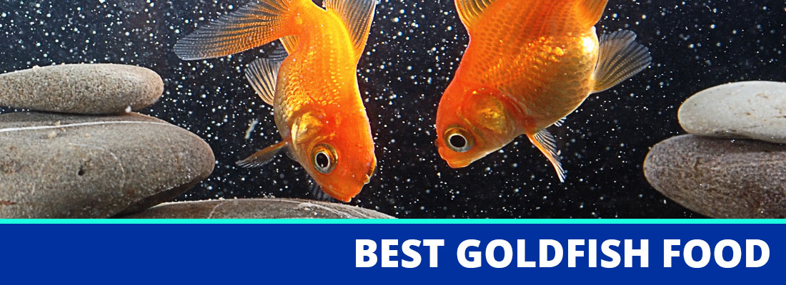 The Best Goldfish Food Brands With Reviews And Ratings For 2020