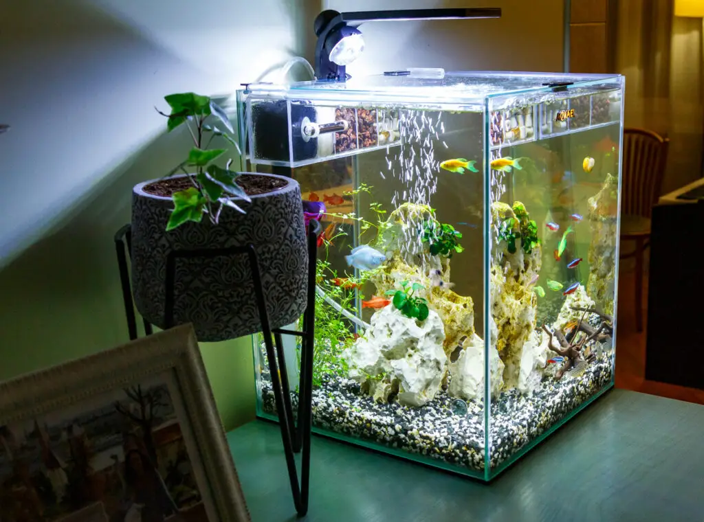 best nano reef tanks