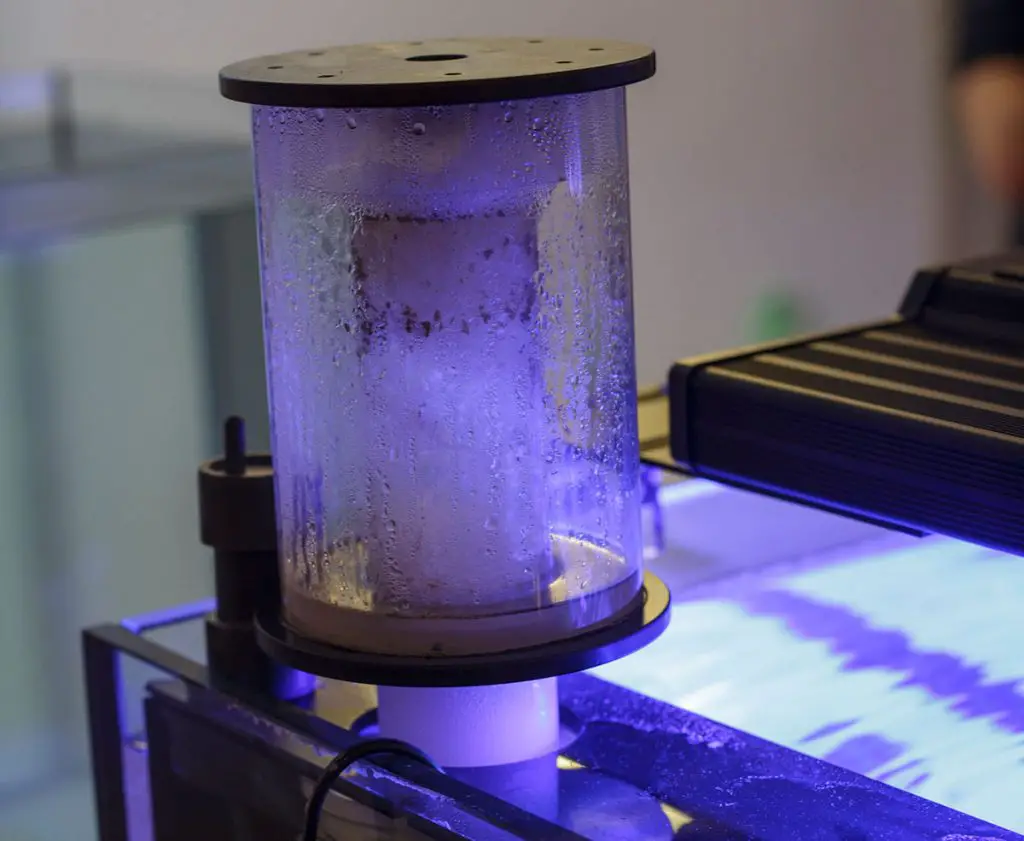 best protein skimmer