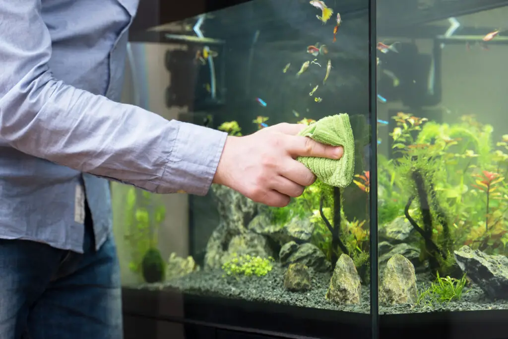 cleaning your aquarium