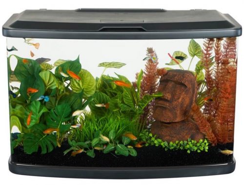 fluval vista 16 gallon aquarium