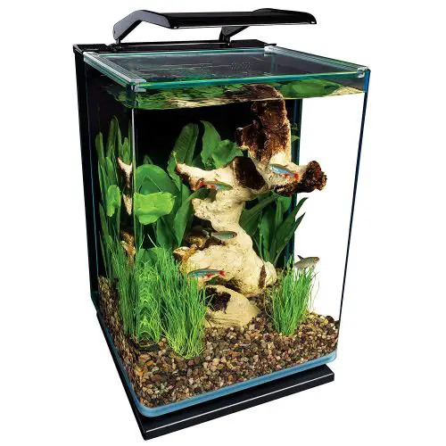 marineland portrait aquarium kit