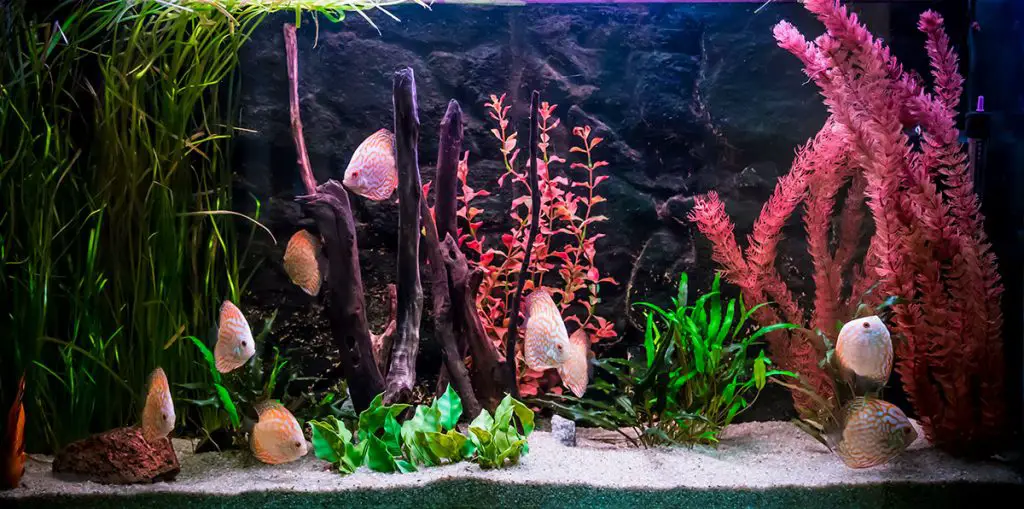 nice fish tank best aquarium powerhead