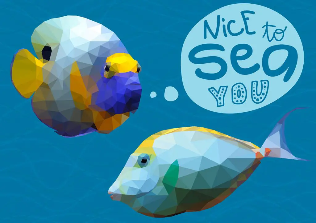nice to sea you fish pun