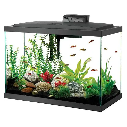 Aqueon Aquarium Fish Tank Kit 20 gallon