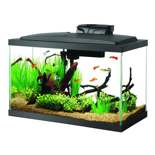 Aqueon Fish Tank Aquarium LED Kit 10 Gallon