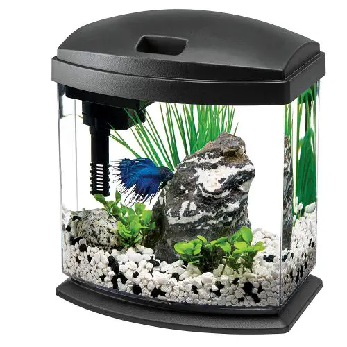 Aqueon LED Minibow Aquarium Starter Kits with LED Lighting