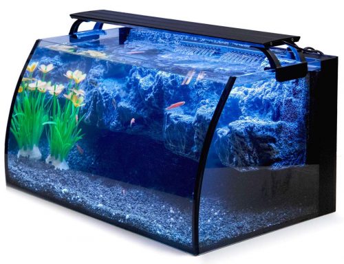 Hygger Horizon 8 Gallon LED Glass Aquarium Kit for Starters