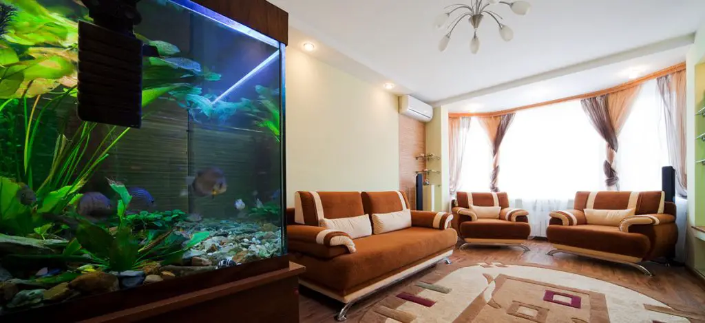 aquarium in a living room best fish tank test kits