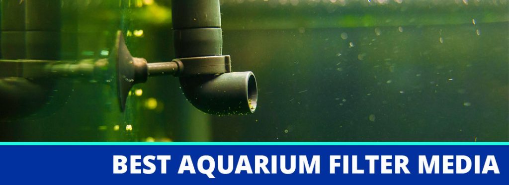 best aquarium filter media header