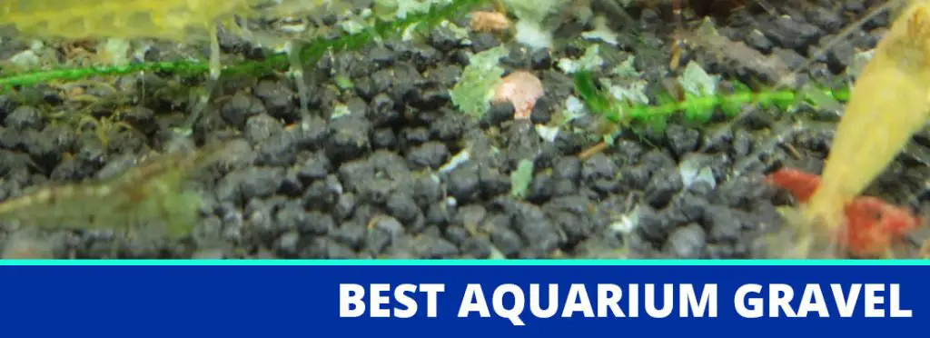 best aquarium gravel header
