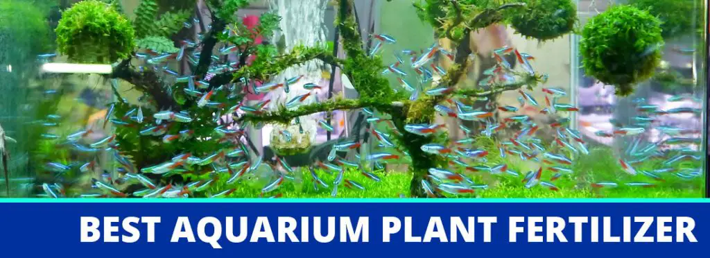 best aquarium plant fertilizer header