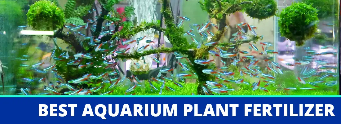 best aquarium fertilizer