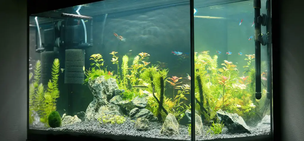 best aquarium water pump