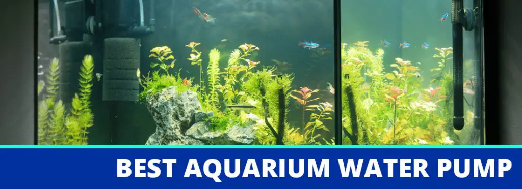 best aquarium water pump header