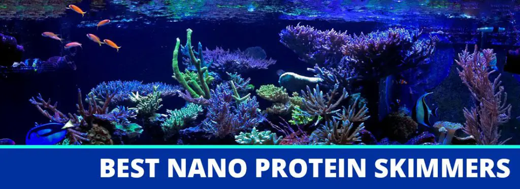 best nano protein skimmers header