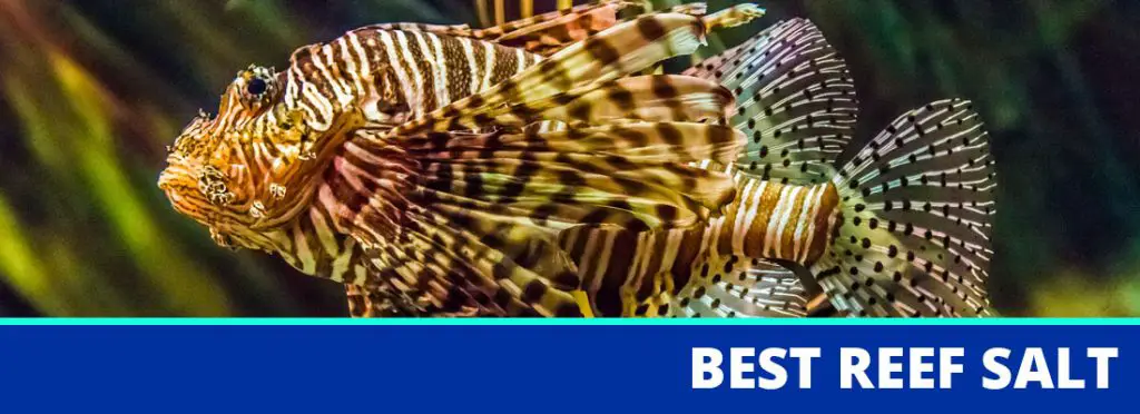 Best clearance aquarium salt