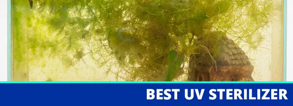 best uv sterilizer for aquariums header