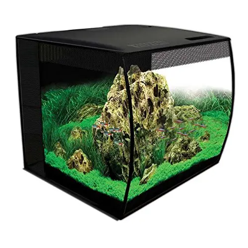 fluval flex 15 gallon