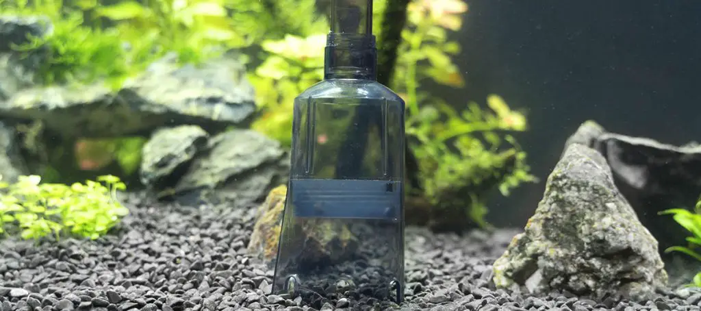 use a gravel vacuum to clear a cloudy fish tank