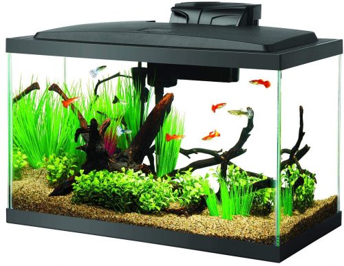 Aqueon 10 Gal LED Aquarium Kit