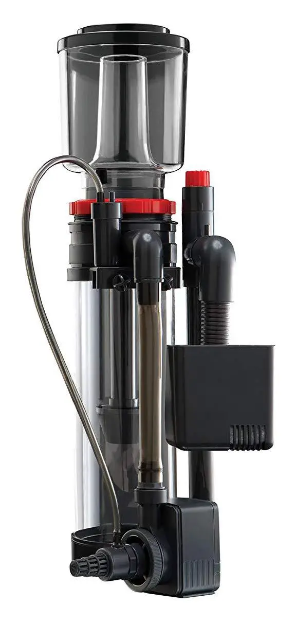 The 6 Best HOB Protein Skimmers for Marine and Reef Tanks in 2023