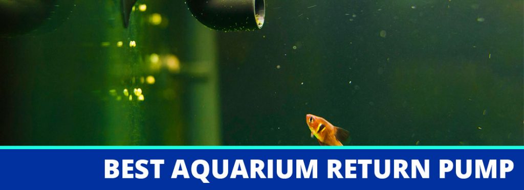 best aquarium return pump header