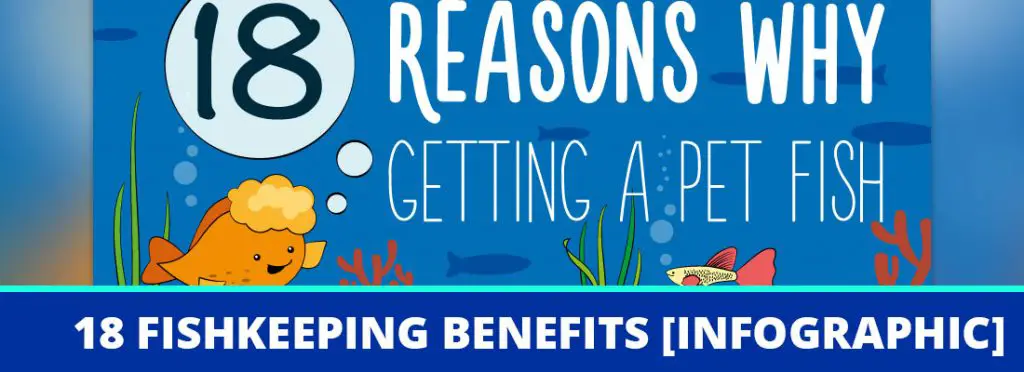 fishkeeping benefits header
