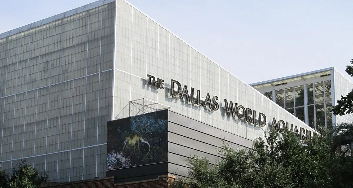 dallas world aquarium