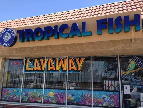 3 Little Fish Fish Store in Lancaster, CA